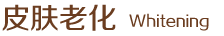 皮膚老化